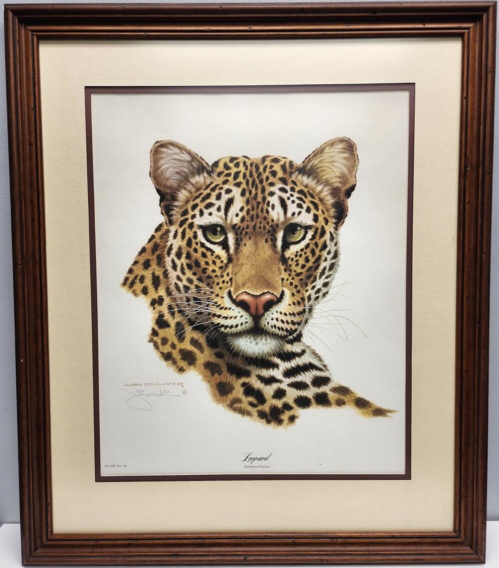 Jim Oliver Leopard Lithograph Plate 18 Signed Framed Wildlife Art VTG 1980